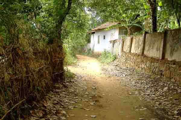Palakkad District in Kerala | Keralaorbit